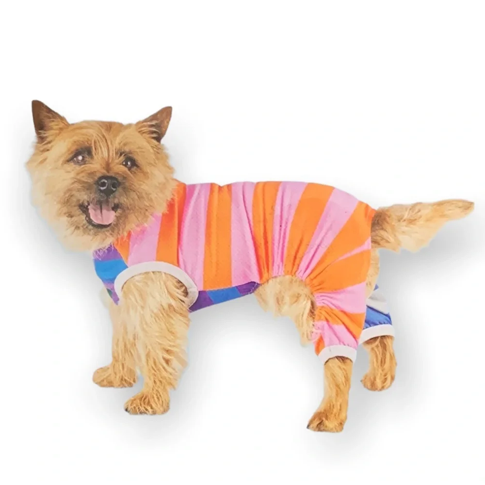 Lego LIMITED EDITION Pet Mixed Striped Pajamas